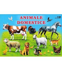 Animale domestice