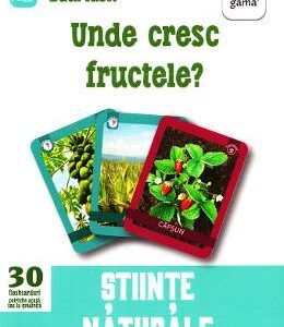 Unde cresc fructele? 3 ani+ (Eduflash)