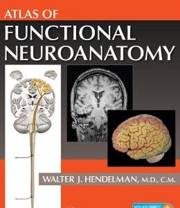 Atlas of Functional Neuroanatomy - Walter Hendelman