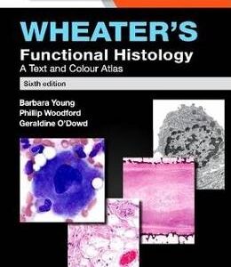 Wheater's Functional Histology: A Text and Colour Atlas - Barbara Young, Phillip Woodford, Geraldine O'Dowd