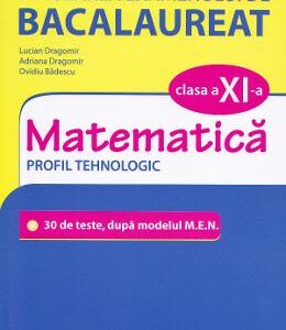 Simularea examenului de bacalaureat. Matematica - Clasa 11 - Profil Tehnologic - Lucian Dragomir