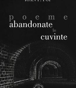 Poeme abandonate in cuvinte - Ioan F. Pop