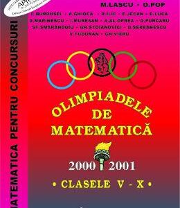 Olimpiadele de matematica - Clasele 5-10 2001 - T. Andreescu