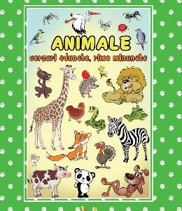 Animale - versuri adunate, rime minunate - Izabela Constantin