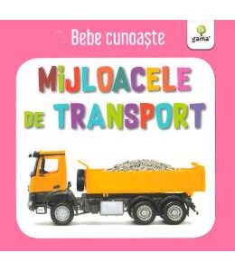 Mijloace de transport - Bebe cunoaste