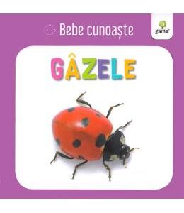 Gazele - Bebe cunoaste