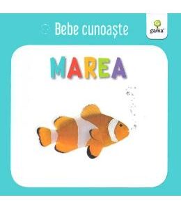 Marea - Bebe cunoaste