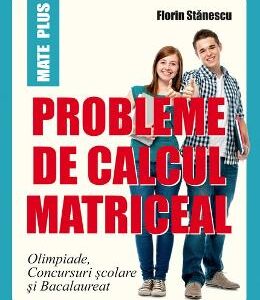 Probleme de calcul matriceal - Florin Stanescu