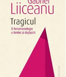 Tragicul. O fenomenologie a limitei si depasirii - Gabriel Liiceanu