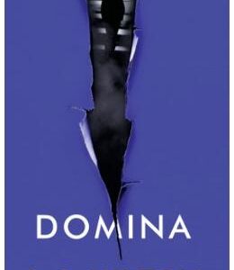 Domina - L.S. Hilton