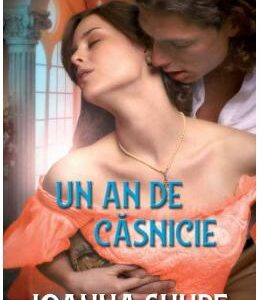 Un an de casnicie - Joanna Shupe