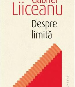 Despre limita - Gabriel Liiceanu