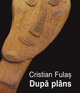 Dupa plans - Cristian Fulas