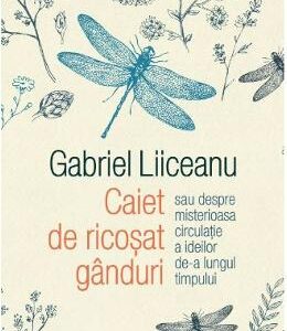 Caiet de ricosat ganduri - Gabriel Liiceanu