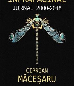 Infrapaginal. Jurnal 2000-2018 - Ciprian Macesaru