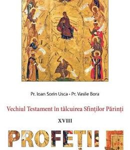 Vechiul Testament in talcuirea Sfintilor Parinti: Profetii mici - Ioan Sorin Usca, Vasile Bora