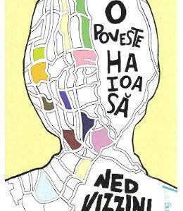 O poveste haioasa - Ned Vizzini