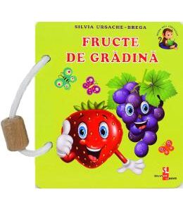 Fructe de gradina - Silvia Ursache-Brega