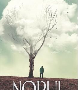 Norul - Dafin Mureseanu