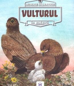 Animale salbatice in natura: Vulturul - Renne