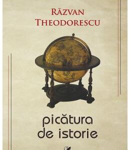 Picatura de istorie - Razvan Theodorescu