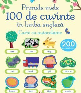 Primele 100 de cuvinte in limba engleza. Carte cu autocolante