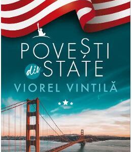 Povesti din State - Viorel Vintila