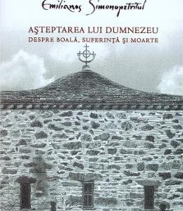 Asteptarea lui Dumnezeu. Despre boala, suferinta si moarte - Emilianos Simonopetritul