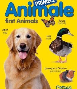 Primele animale. First Animals