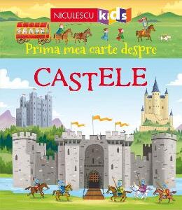 Prima mea carte despre castele - Abigail Wheatley