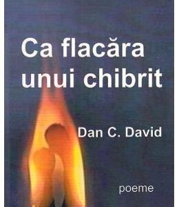 Ca flacara unui chibrit - Dan C. David