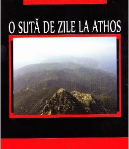 O suta de zile la Athos - Marius Ianus