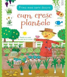 Prima mea carte despre cum cresc plantele - Felicity Brooks, Caroline Young