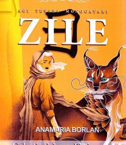 Zile. Seria Aripile Albastre. Vol.5 - Anamaria Borlan