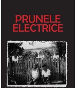 Prunele electrice - Dumitru Ungureanu