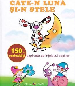 Cate-n luna si-n stele - Ala Bujor, Vadim Rusu