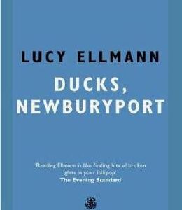 Ducks, Newburyport - Lucy Ellmann