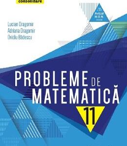 Probleme de matematica - Clasa 11 - Consolidare - Lucian Dragomir