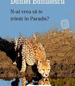 N-ai vrea sa te trimit in paradis? - Daniel Banulescu