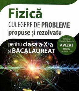 Fizica - Clasa 10 si bacalaureat. Culegere de probleme propuse si rezolvate - Mihaela Chirita