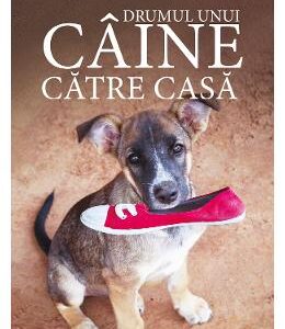 Drumul unui caine catre casa - W. Bruce Cameron