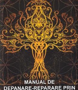 Manual de depanare-reparare prin Reiki Usui - Doru Cica