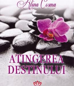 Atingerea destinului - Alina Cosma