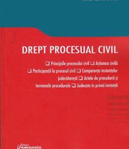 Drept procesual civil - Madalina Dinu