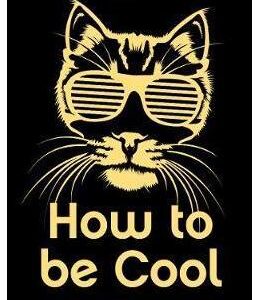 How to be Cool - Thomas Hodgkinson