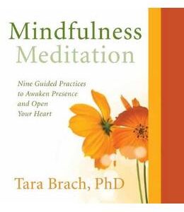 Mindfulness Meditation - Tara Brach