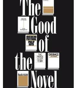 The Good of the Novel - Liam McIlvanney, Ray Ryan