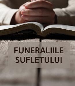 Funeraliile sufletului - Irina-Maria Turnea