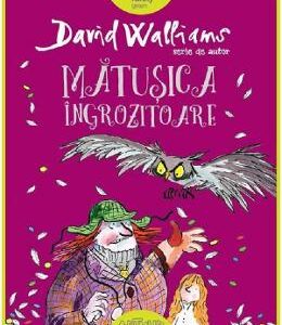 Matusica ingrozitoare - David Walliams