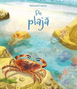 Pe plaja. Usborne